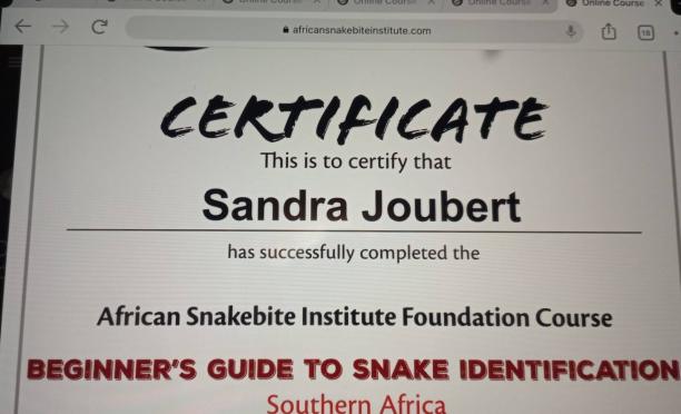 snake identification
